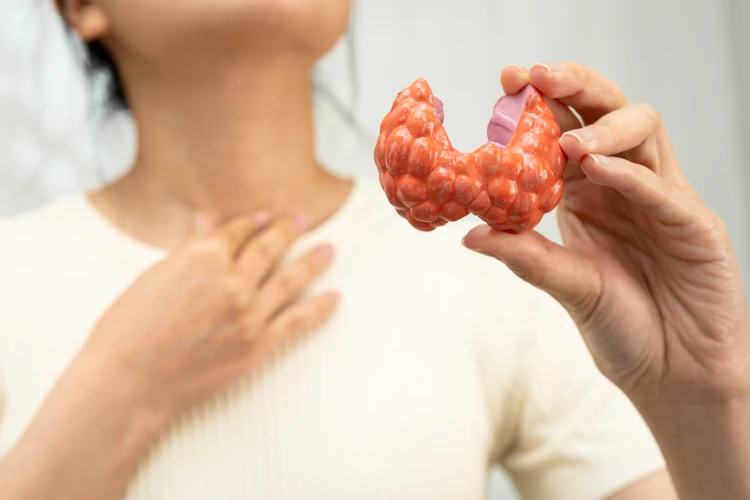 photo d'une thyroïde